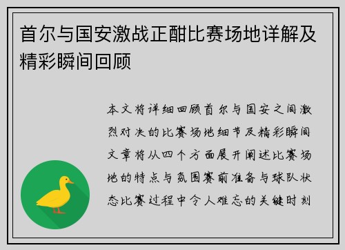首尔与国安激战正酣比赛场地详解及精彩瞬间回顾