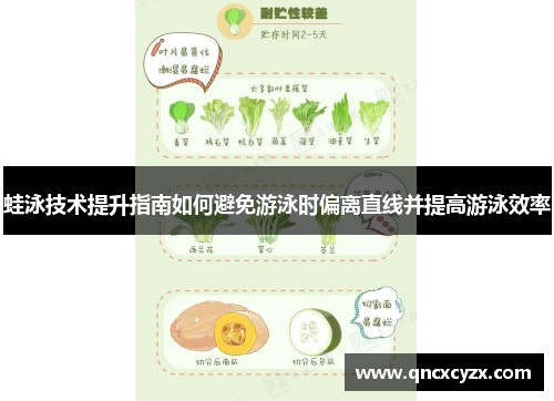蛙泳技术提升指南如何避免游泳时偏离直线并提高游泳效率