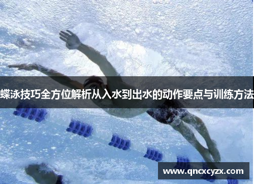 蝶泳技巧全方位解析从入水到出水的动作要点与训练方法